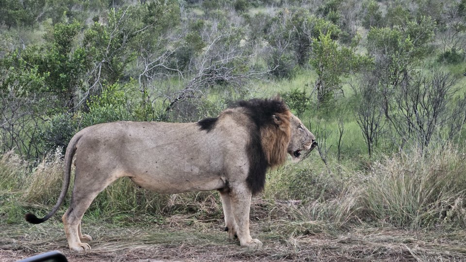 <h2>The Best of South Africa Escorted 2023</h2> 14 Nights | 6 Rounds | March 11 - 25